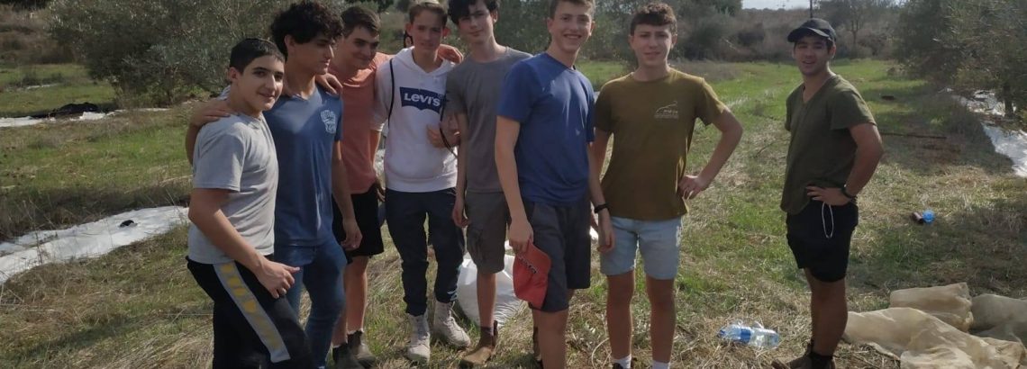מתנדבים בפלך